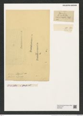 Pseudoeunotia biceps (Ehr.) Grun. (de-Toni-Nr.: Genus 105, Species 3245) Zeichnungen Sammlung Grunow (NHMW-BOT-W0375420)